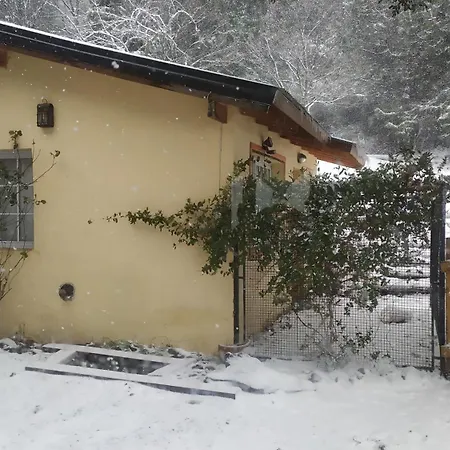 Cabana Los Radales San Martin de los Andes Exterior photo